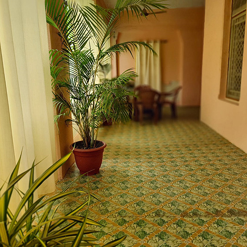 Shivashray Shivashray