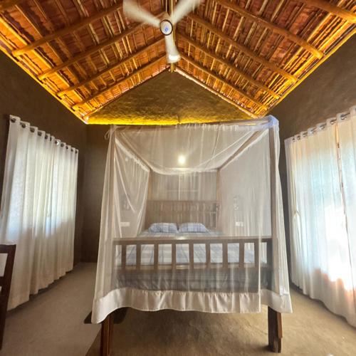 Siyashree, Nawadatodi