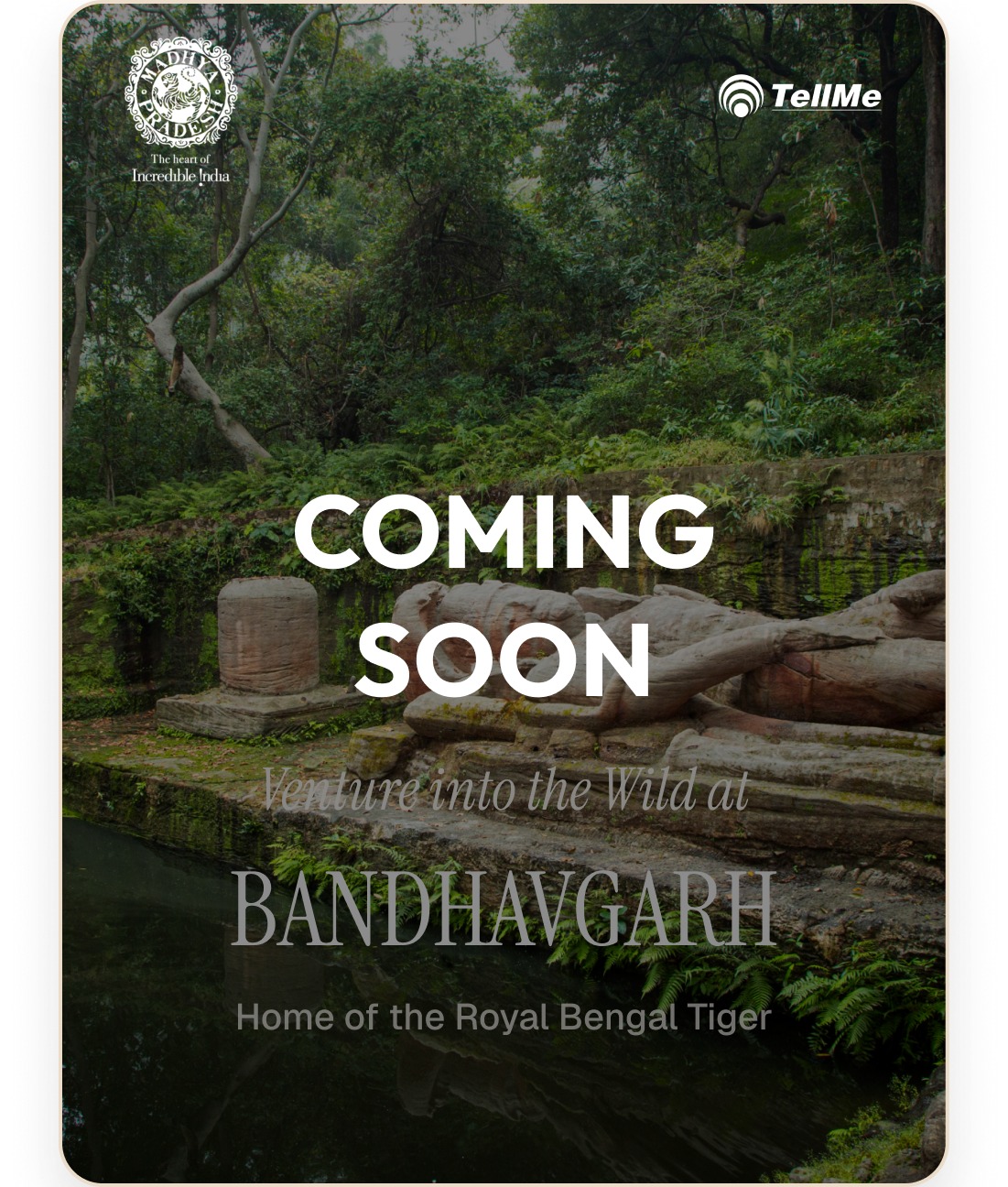 Bandhavgarh Travel Handbook - Coming Soon
