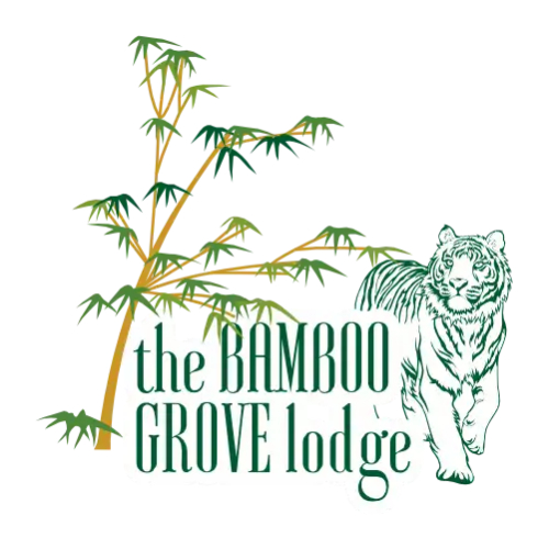 The Bamboo grove, Bandhavgarh