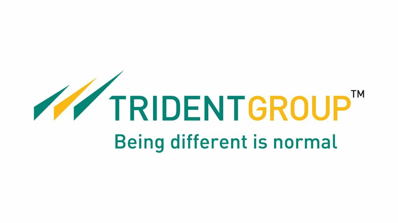 Trident India Ltd