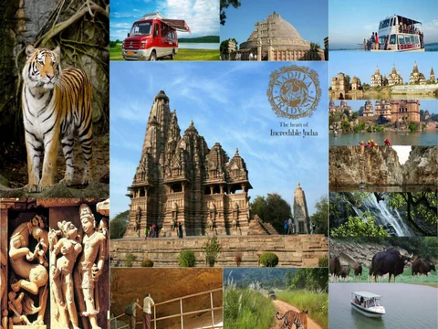 Captivating Madhya Pradesh