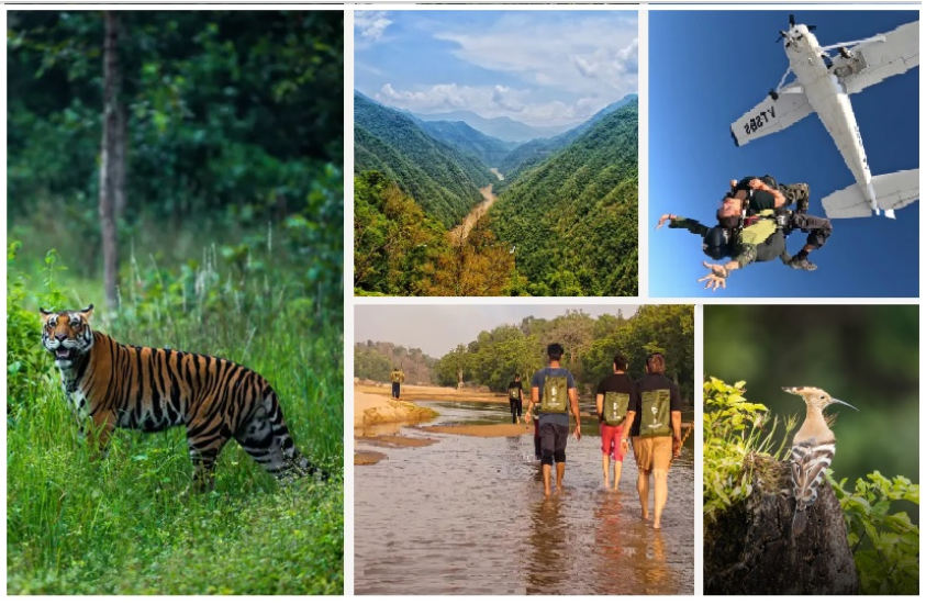 travel beyond popular destinations in MP