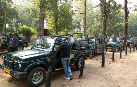 Wild life safari in Madhya Pradesh during Winter