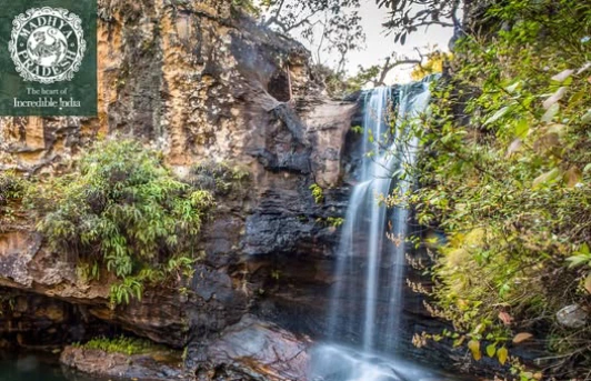 Beyond the Tiger Trail: Discovering Satpura’s Hidden Wilderness
