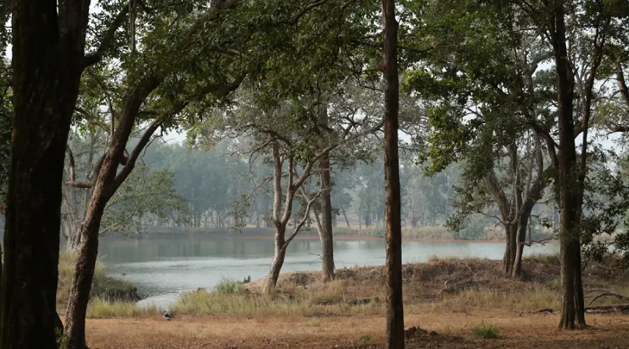 Kanha Beyond Tigers: A Journey Through Sal Forests, Meadows and Tribal Heritage
