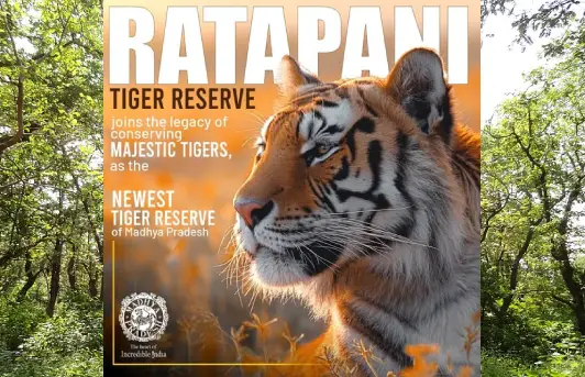 Ratapani Wildlife Sanctuary & Tiger Reserve Near Bhopal