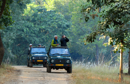 Monsoon Safari in Madhya Pradesh 
