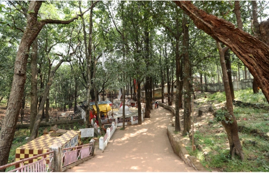 Mai Ki Bagiya, Amarkantak